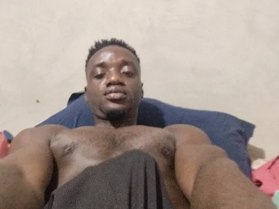 UnmeltedDryer profile