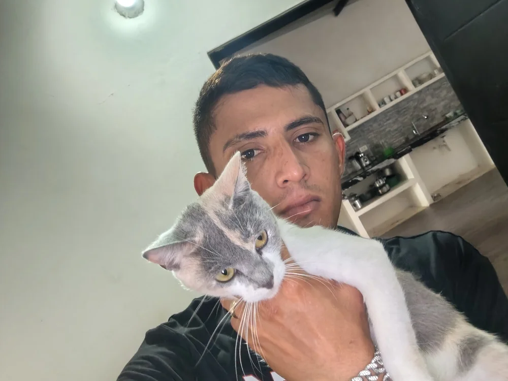 Pino_cho7 - Live Sex Cam