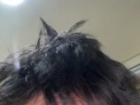 nguyenquan77 cover photo