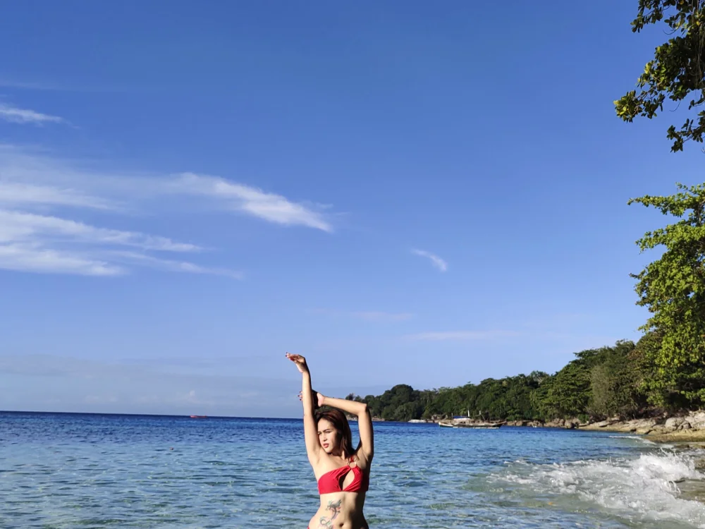 taler_ni_saraya88 离线聊天室