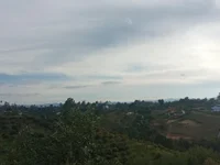 calichemiles