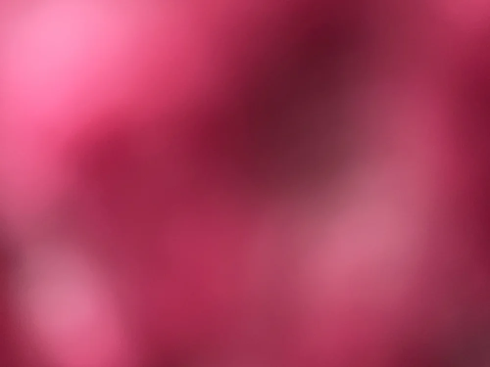 Gabriel-Vergon's most recent online preview