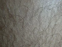 subboyy's webcam live show