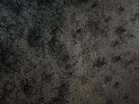 nymphoblackbe profile