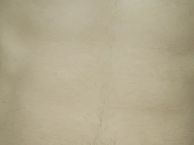 Sexyjodi