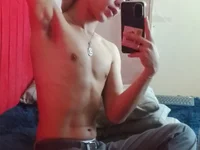 Модель arlequiin_