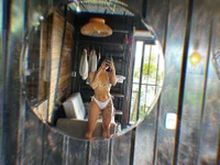 Lexa_queen Live XXX-Chat