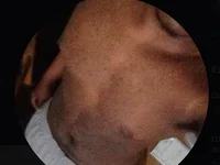 Profile