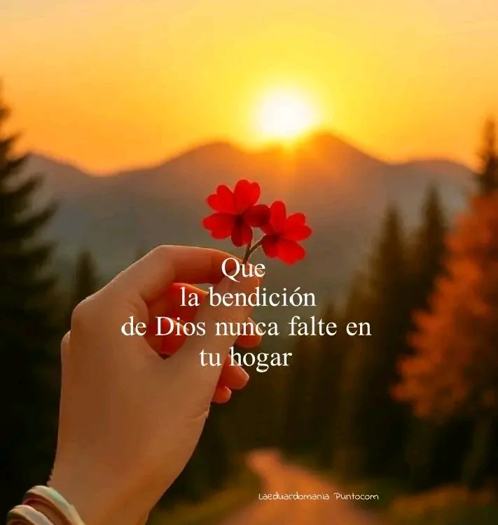 Golositadeamor Offline XXX Chat