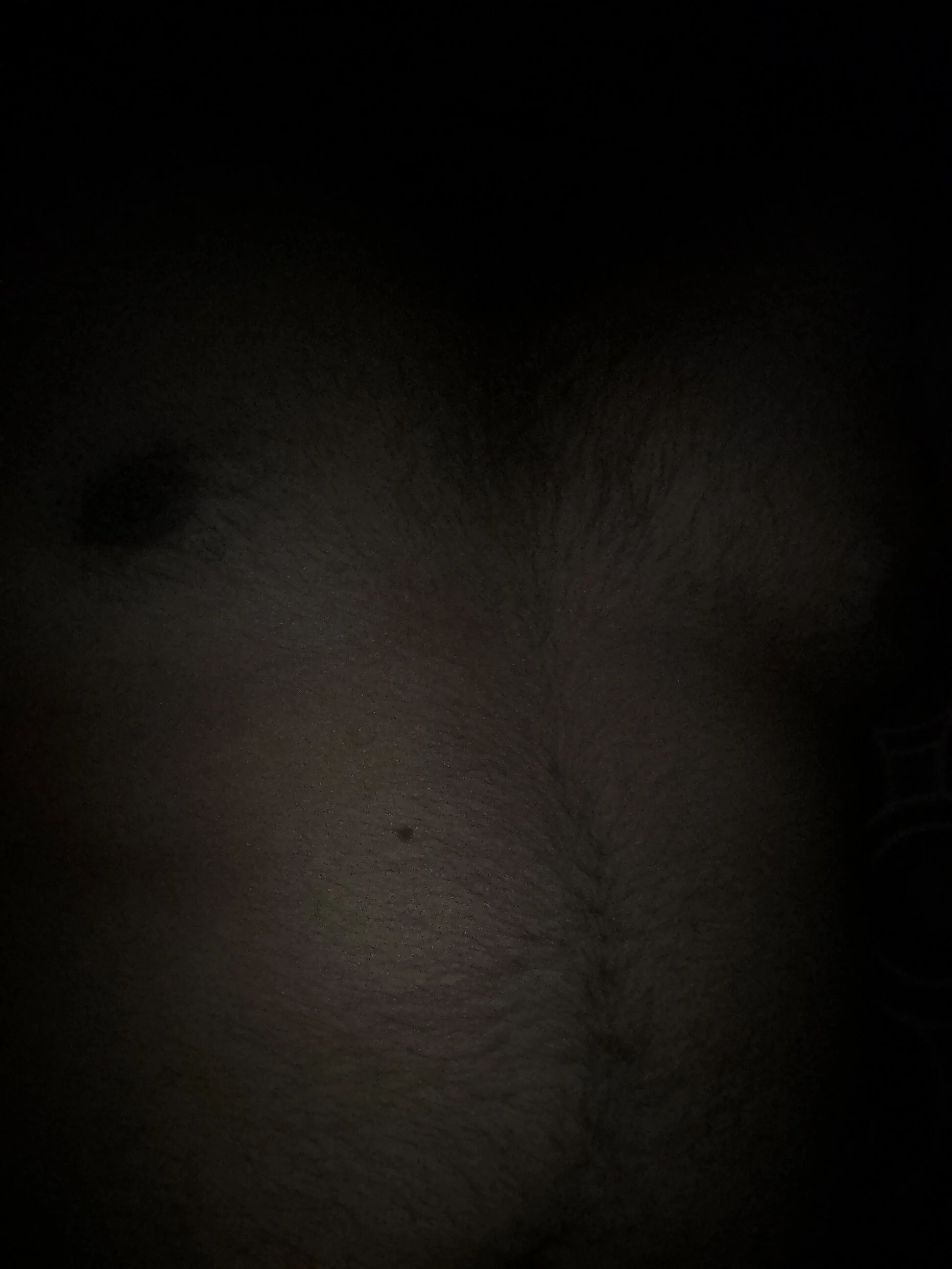 blackdevillove