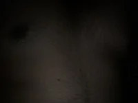 blackdevillove