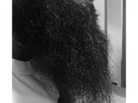 Модель Grenn90