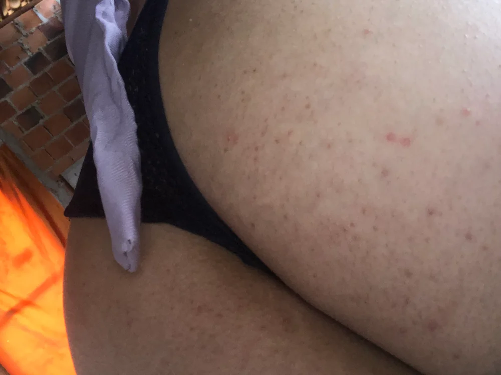 novinha__anal Offline XXX-Chat