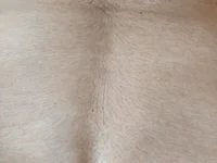 Brokendevil699 offline cam