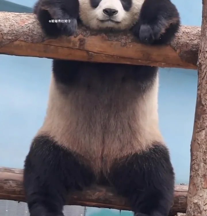 JM20X5 Offline XXX-chat