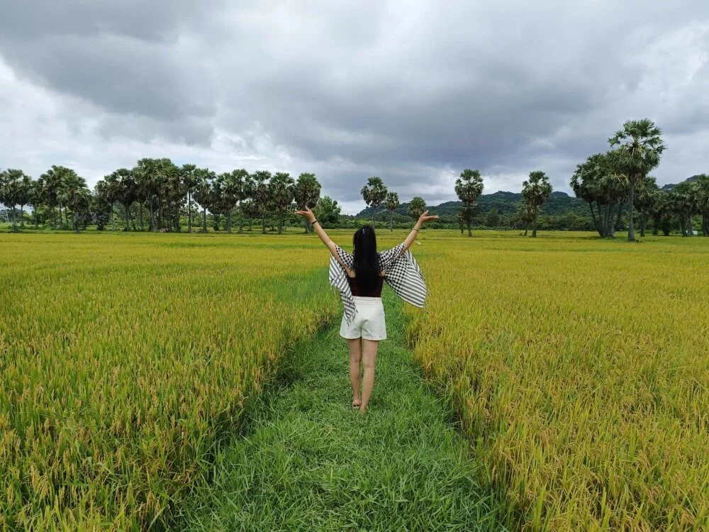 GAIXINH_TIMCK 离线XXX聊天