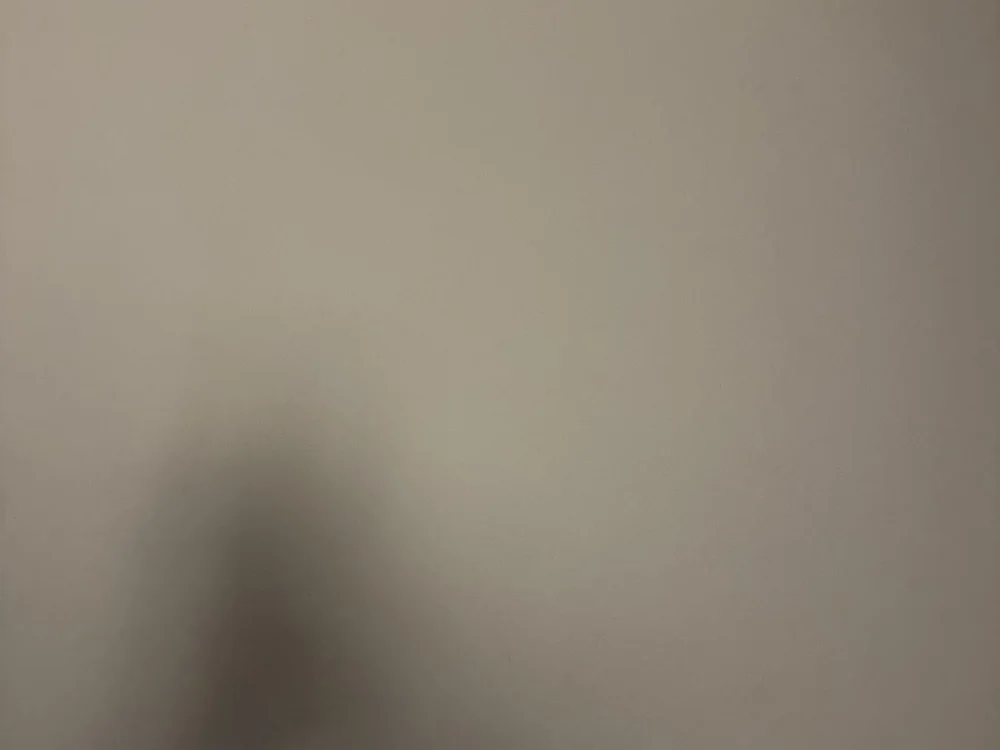 foto de portada de zorro828
