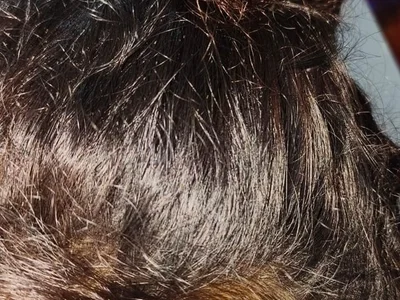 sexy_baby_kolkata profile