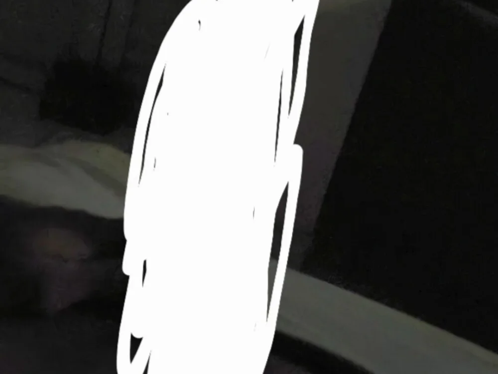 ca4rl1n 오프라인 XXX 채팅