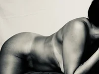 ArabaFenix