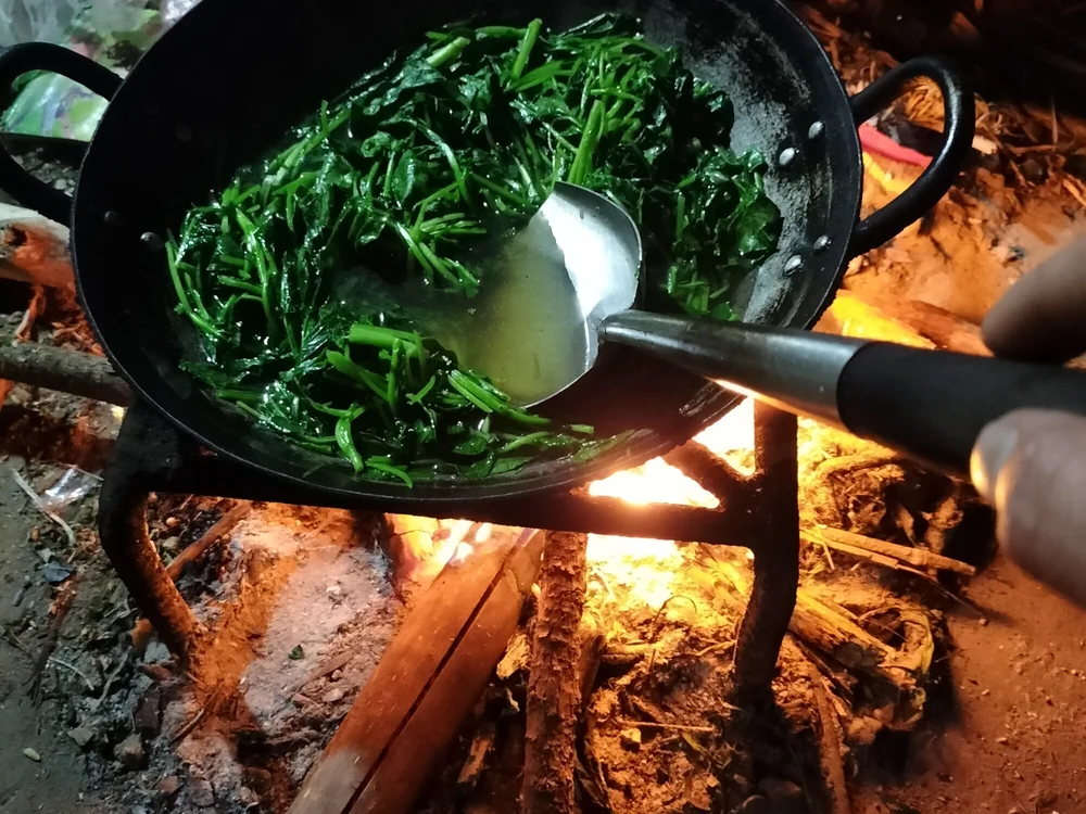 lia-coy's Offline XXX Chat