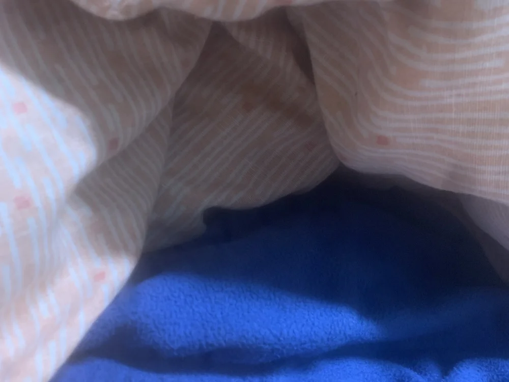 Elpombo689 離線 XXX 聊天