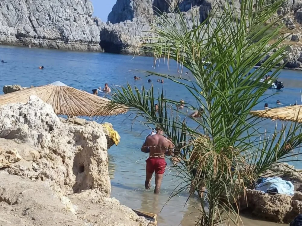 Atletico1993 cam model