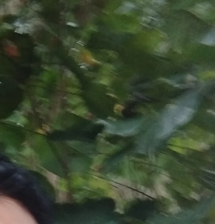 syper007 Adlı Modelin Çevrimdışı XXX Sohbeti