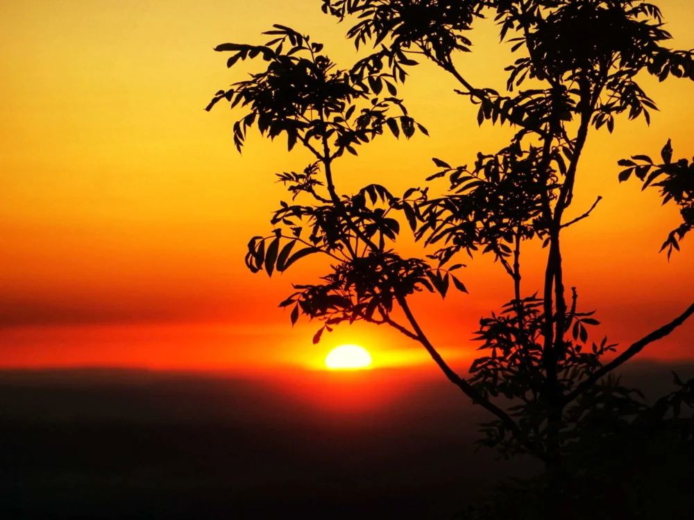 PascalBoy02's Offline XXX Chat