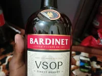 Модель 69_SINNS