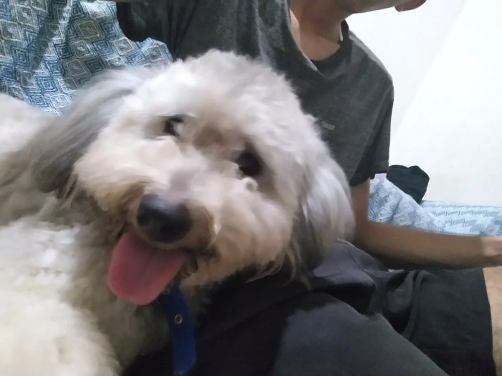 welitonzz28's Offline XXX Chat