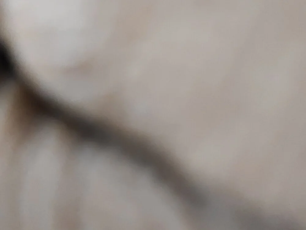 Offline XXX chat modela Indian_Dick_Pierced