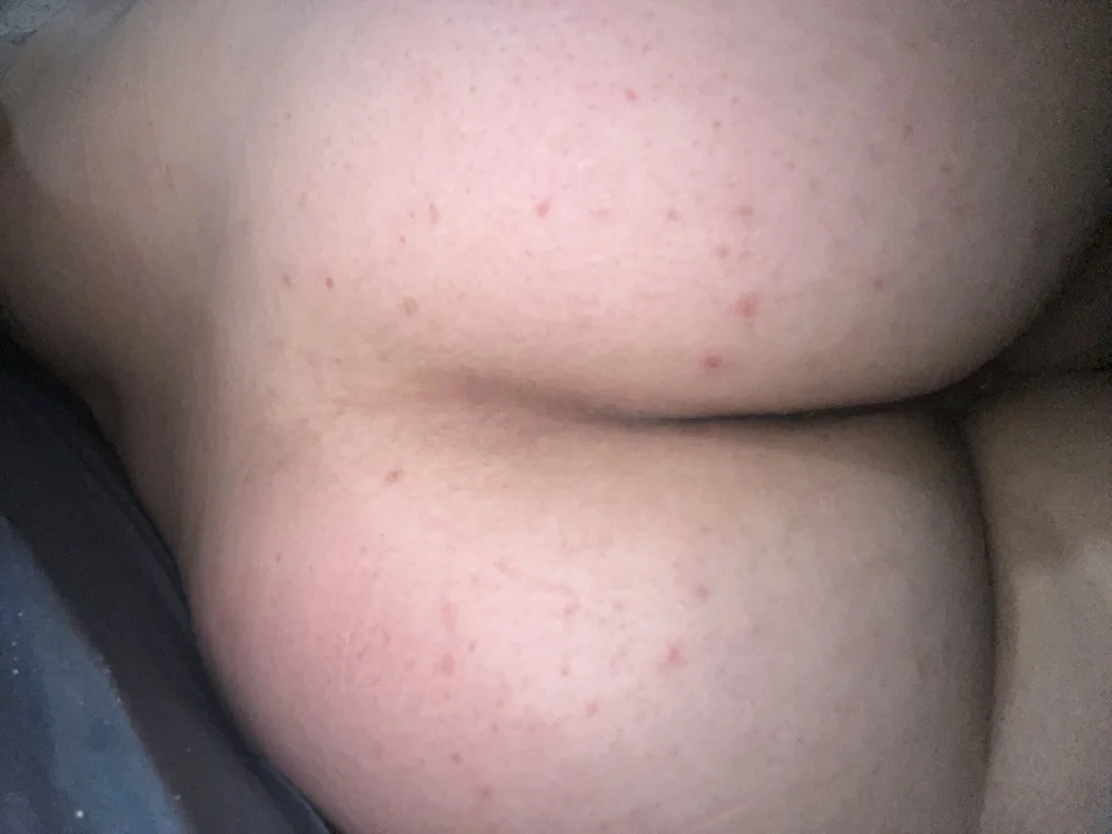 Bunbearxx offline chatrum