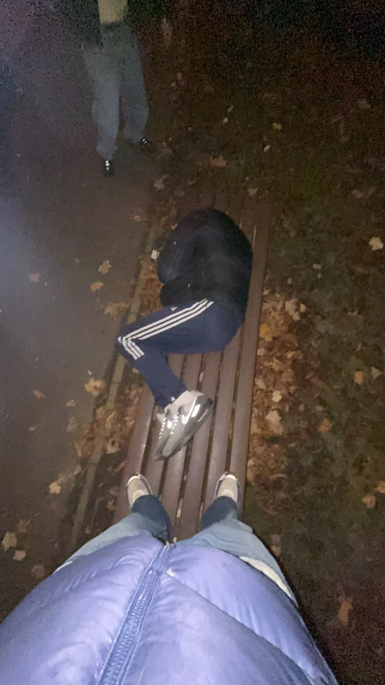 brunobananii