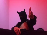 Модель imdavo23