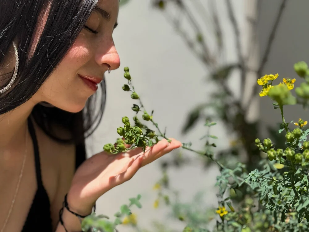 GabySweett_ offline XXX-chatje