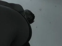 Flavy_bunyy cover photo