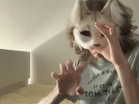 CozyPaws