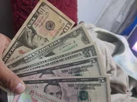 Yojtas's webcam live show