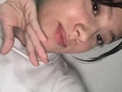 House_fox - medium hair