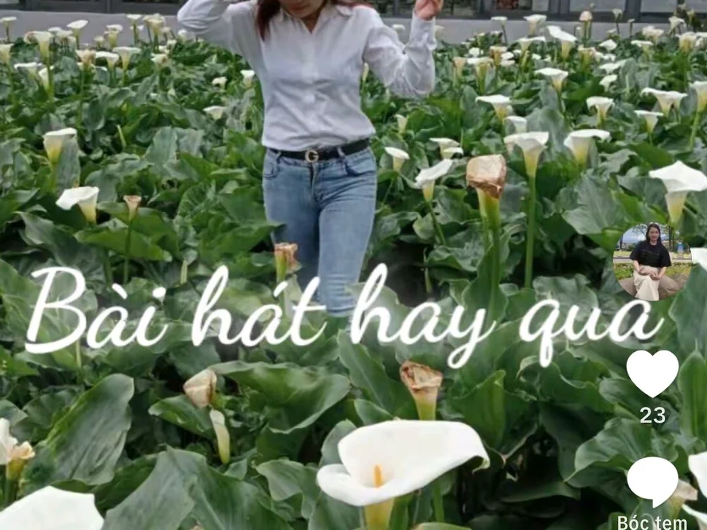 _Mailisa_sexy 离线XXX聊天