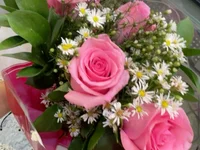 Love_Quin