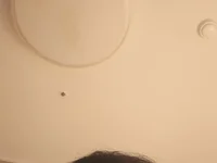 _Ileina_