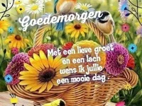 Lul18809's webcam live show