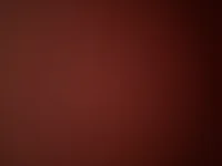 Sala de chat offline de needybigtitslut