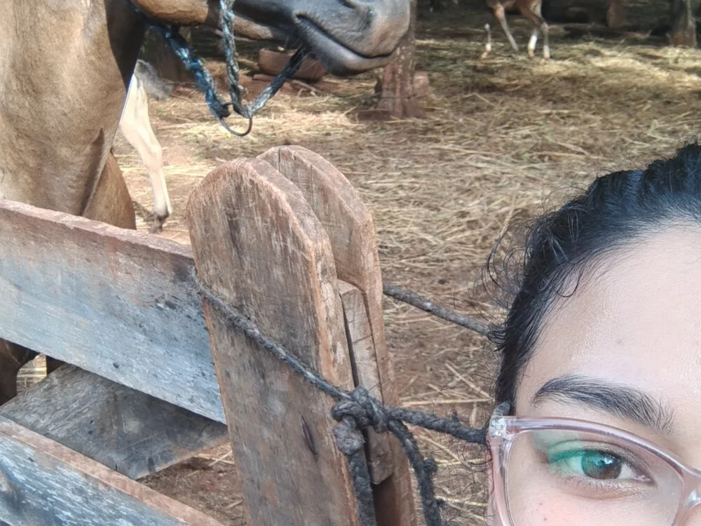 MoiMo2: συνομιλία ΧΧΧ εκτός σύνδεσης