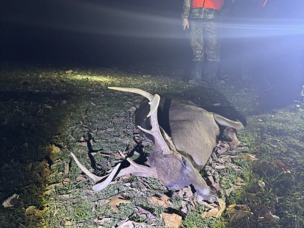 Chat XXX offline de kodycox