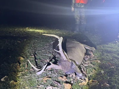 Kodycox - Stripchat Cam2cam Analtoys Anal Boy 