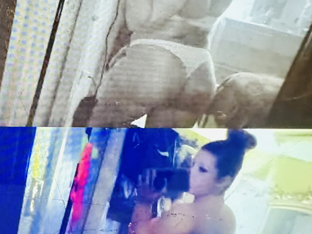 Offline chatovací místnost prettyp2027