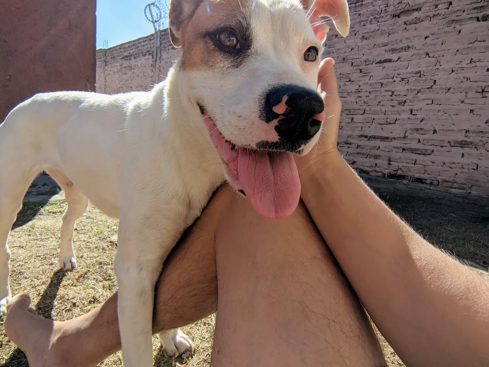 Sembang XXX Luar Talian Happy-houur